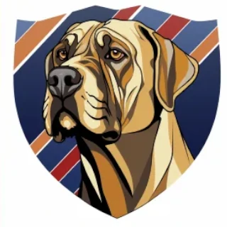 Fila brasileiro New South Wales