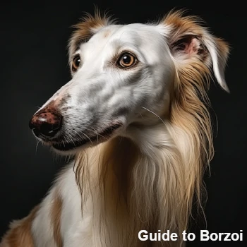 Comprehensive Guide to Borzoi