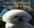 We have been involved in the Bichon breed since its arrival in this country, and have imported our Bichons from the leading kennels around the world (England, USA, New Zealand and Europe).<br><br>Kelzarki have owned and bred many of Australia’s top winning Bichons over the last decade - at least THREE times in that period, Kelzarki bichons have been “TOP TOY DOG in Australia” (the ONLY kennel to have bred/owned a bichon Frise which has won this award).<br><br>Most of our litters are sired by Best in Show winning champions, often from top winning dams. We receive many enquiries and most puppies are booked well before they are old enough to go.<br>The bichon breed is one of the most extrovert and “happy go lucky” of all the Toy breeds. The breed does NOT shed coat and is generally suitable for people who are otherwise allergic. They are excellent with children and never show aggression.<br><br>Our dogs are bred from the best International bloodlines. Our goal is to breed the best quality puppies which are free of any known genetic defects. Certainly, nobody can make “guarantees”, BUT Kelzarki has spent 30 odd years trying to get this right!!<br><br>Our puppies come with limited registration papers*, initial vaccination and are micro chipped. As well, we provide a Care booklet, Scissoring Guide and Grooming DVD (also a cautionary Flea Treatment and Wormer