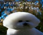 We have been involved in the Bichon breed since its arrival in this country, and have imported our Bichons from the leading kennels around the world (England, USA, New Zealand and Europe).
<br>
<br>Kelzarki have owned and bred many of Australia’s top winning Bichons over the last decade - at least THREE times in that period, Kelzarki bichons have been “TOP TOY DOG in Australia” (the ONLY kennel to have bred/owned a bichon Frise which has won this award).
<br>
<br>Most of our litters are sired by Best in Show winning champions, often from top winning dams. We receive many enquiries and most puppies are booked well before they are old enough to go.
<br>The bichon breed is one of the most extrovert and “happy go lucky” of all the Toy breeds. The breed does NOT shed coat and is generally suitable for people who are otherwise allergic. They are excellent with children and never show aggression.
<br>
<br>Our dogs are bred from the best International bloodlines. Our goal is to breed the best quality puppies which are free of any known genetic defects. Certainly, nobody can make “guarantees”, BUT Kelzarki has spent 30 odd years trying to get this right!!
<br>
<br>Our puppies come with limited registration papers*, initial vaccination and are micro chipped. As well, we provide a Care booklet, Scissoring Guide and Grooming DVD (also a cautionary Flea Treatment and Wormer