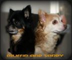 Muffin & Sandy